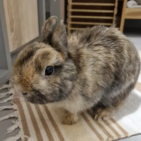 Aiko ♂️ photo 3