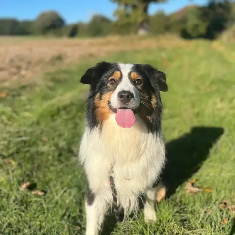 Oscar photo 3