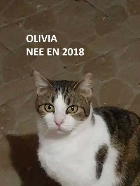Olivia photo 2