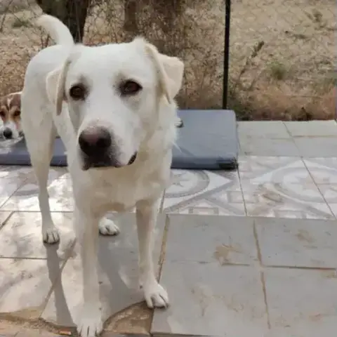 Cloe photo 2