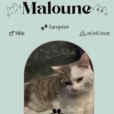 Maloune