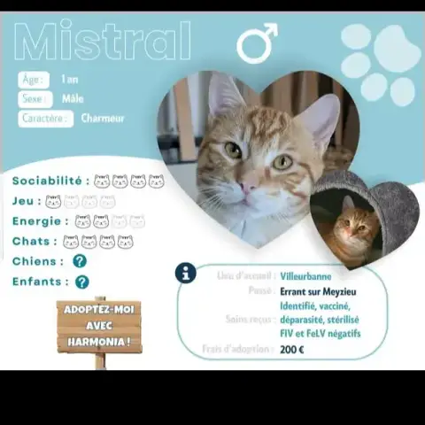 Mistral