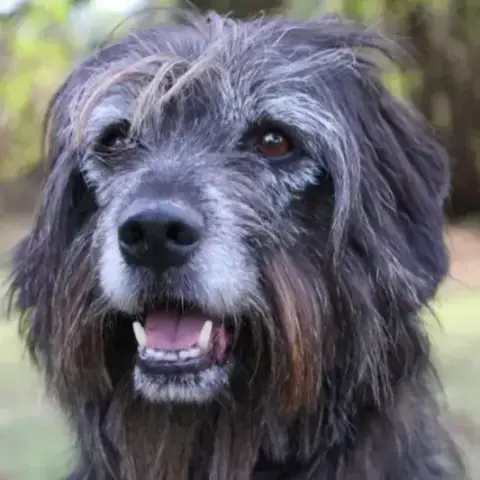 Max photo 2
