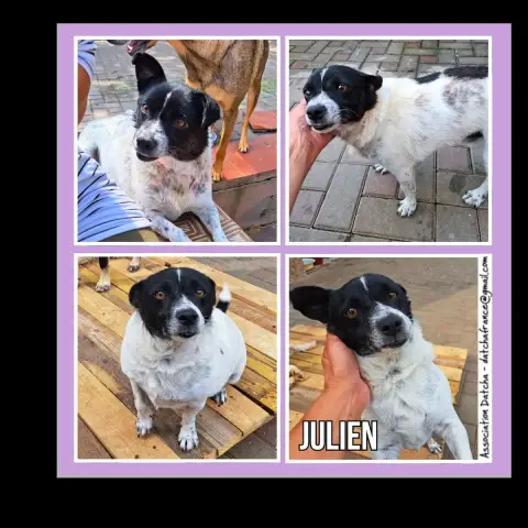 Julien