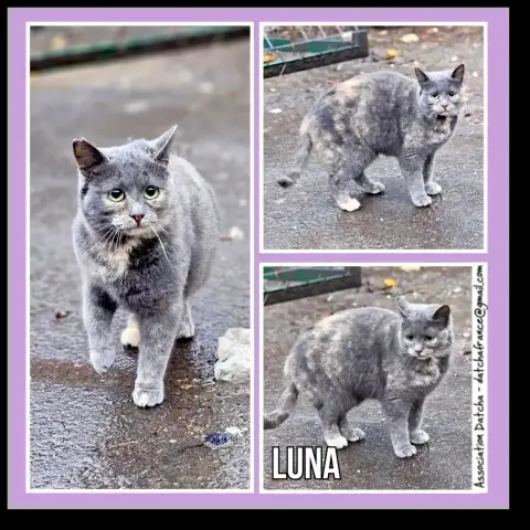 Luna
