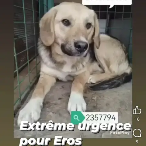 Éros