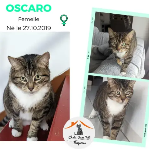 Oscaro