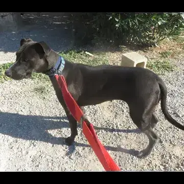 Dora photo 3