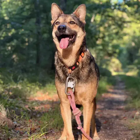 Tucker photo 3