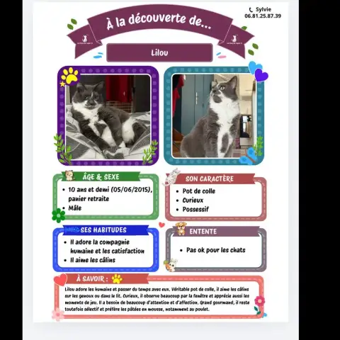 Lilou