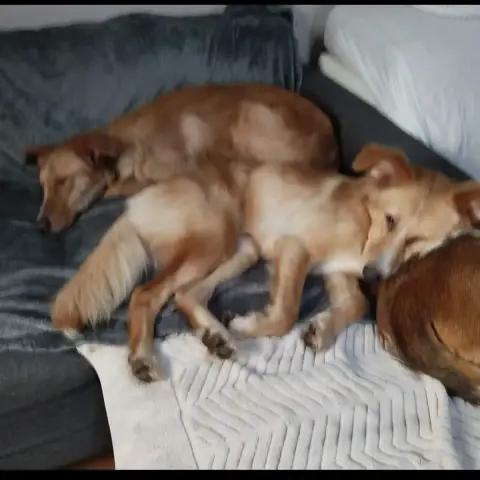 Crème photo 3