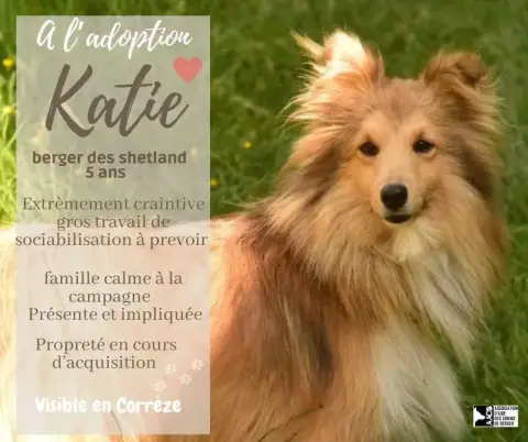 Katie