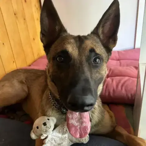 Tyson
