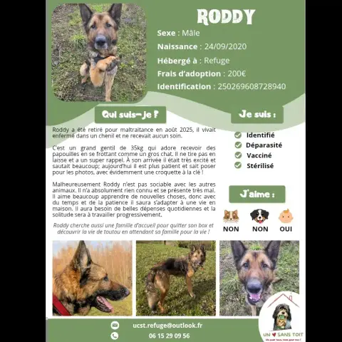 Roddy