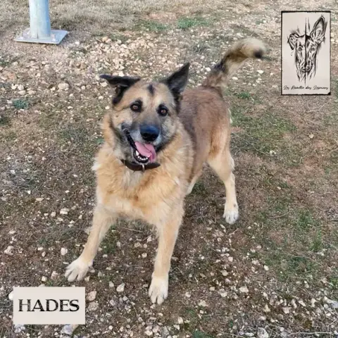 Hades photo 3
