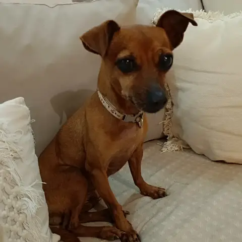 Roxy La Mamie Coquine