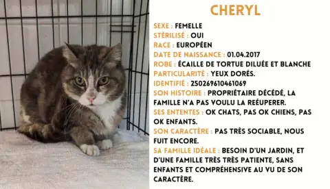 Cheryl
