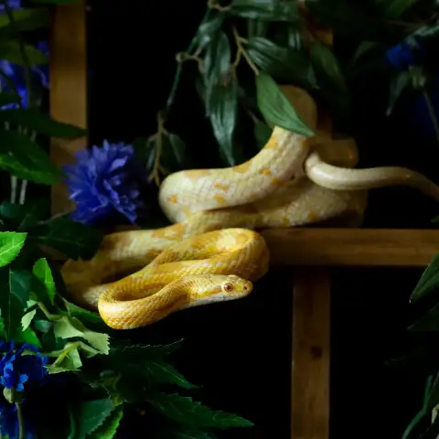 Bretzel photo 2