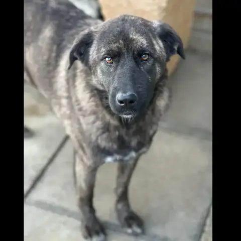 Madeline photo 3