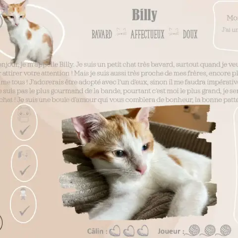 Billy photo 2