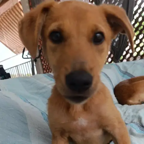 Milo Le Beau Gosse photo 3