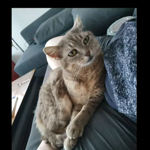 Jinx