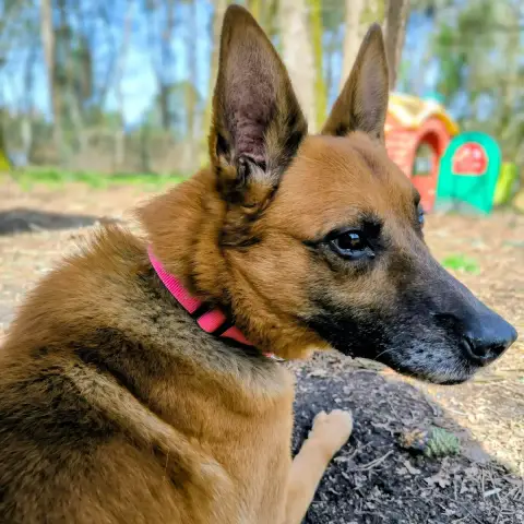 Leytho photo 2
