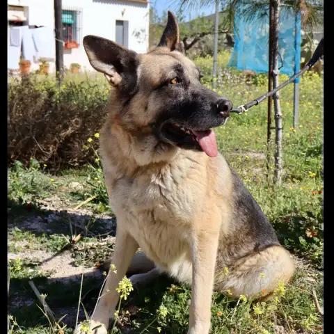 Tana photo 3