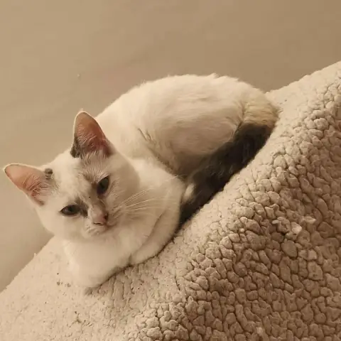 Margot
