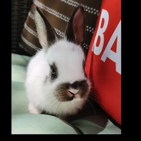 Zoé