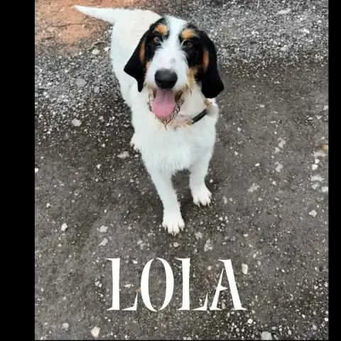 Lola