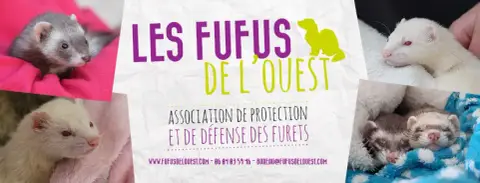 Un Fufu De L'Ouest