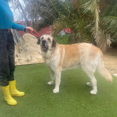 Zeus photo 2