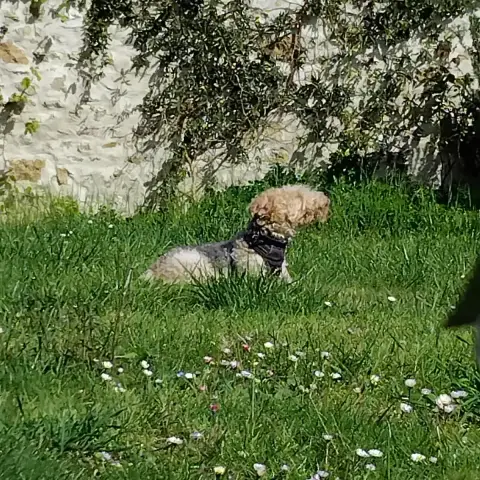 Lucky photo 3