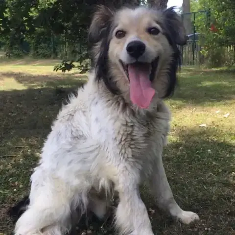 Paulo