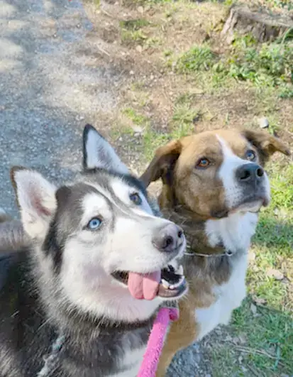 Maya photo 3
