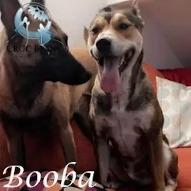 Booba photo 2