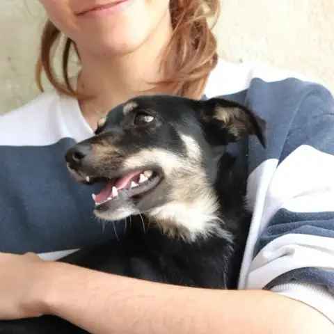 Nuka photo 3