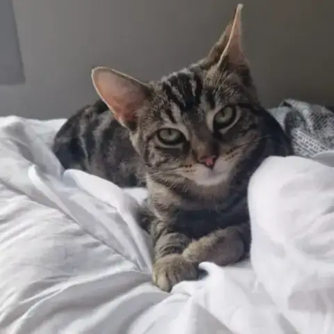Clyde