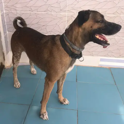 Tyson