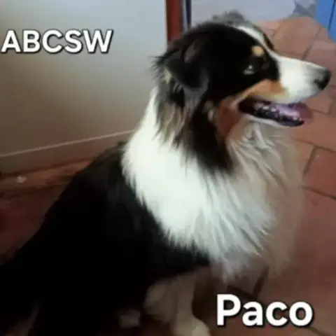 Paco