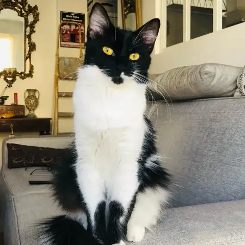 Zoé photo 3