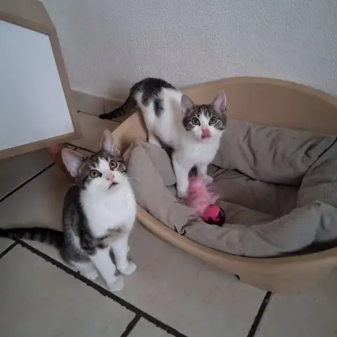 Ary Et Ambre photo 2