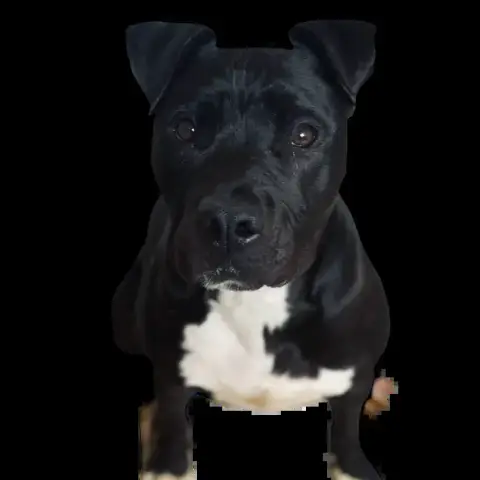 Mia