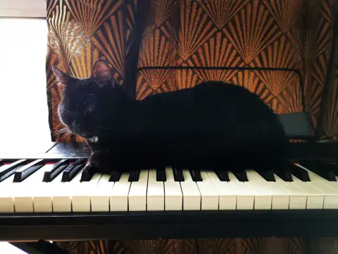 Kira photo 2