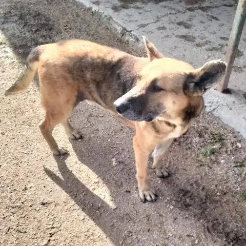 Sultan photo 2
