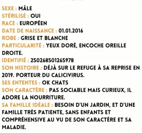 Noé photo 2