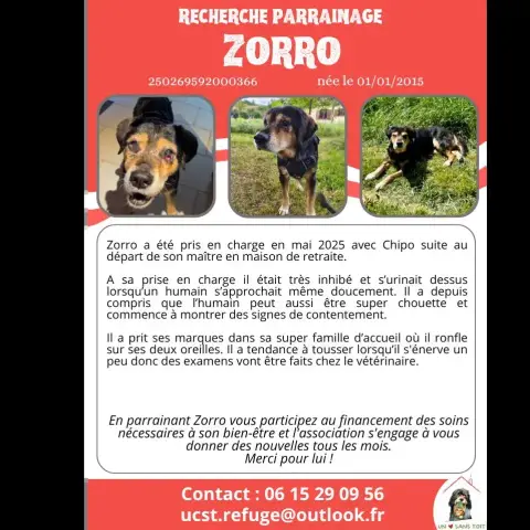 Zorro