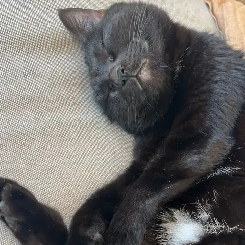 Bella photo 2