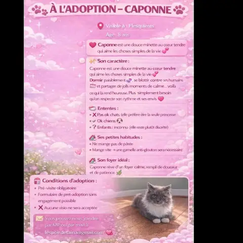 Caponne photo 3